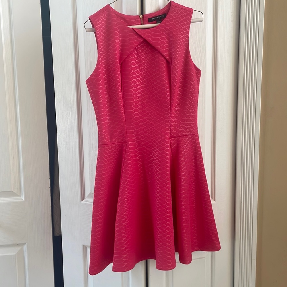 Hot pink Dress